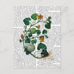 Kürbisranke 2 postkarte