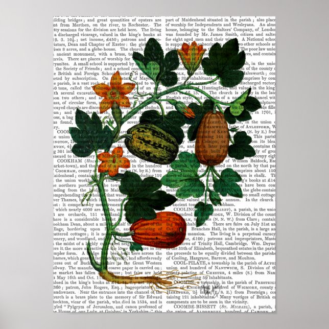 Kürbisrebe Poster (Vorne)