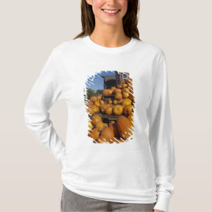 Kürbisse auf dem Bauernhof im Herbst in der Nähe v T-Shirt