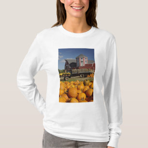 Kürbisse auf einem Bauernhof im Herbst in der Nähe T-Shirt
