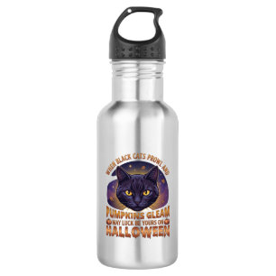 Kürbisse Glänzen Halloween Schwarze Katze Fallende Edelstahlflasche