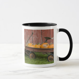 Kürbisse in altem Wagen Tasse