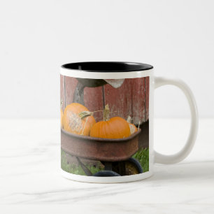 Kürbisse in altem Wagen Zweifarbige Tasse