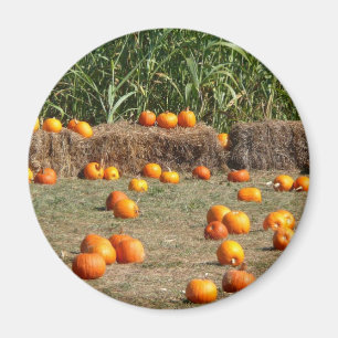 Kürbisse, Mais und Heu Herbst Ernte Fotografie Magnet