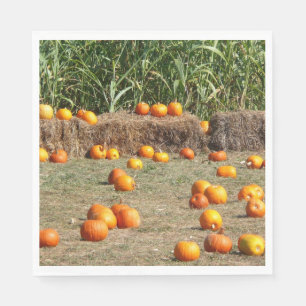 Kürbisse, Mais und Heu Herbst Ernte Fotografie Serviette