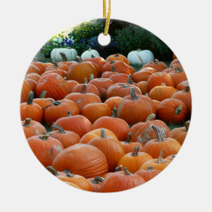 Kürbisse und Chrysanthemen Herbst-Ernte-Fotografie Keramikornament