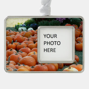 Kürbisse und Chrysanthemen Herbst-Ernte-Fotografie Rahmen-Ornament Silber
