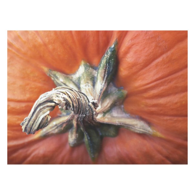 Kürbisspirale Tischdecke (Vorderseite (Horizontal))
