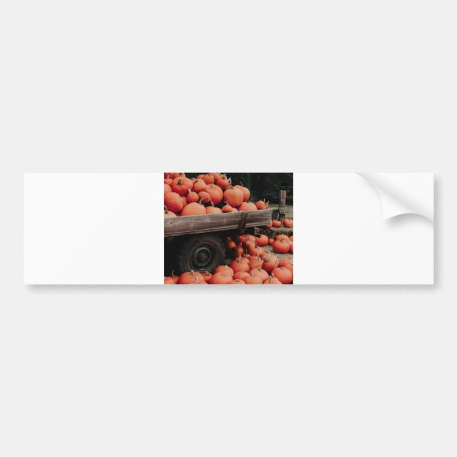 Kürbiswagen Autoaufkleber (Vorne)