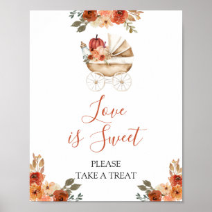 Kürbiswagen Florale Babyparty Love is Sweet Poster