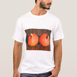 Kürme auf einem Holztisch T-Shirt