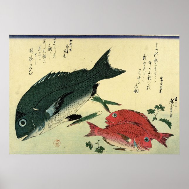 Kurodai & Akadai - Japanische Fischdruckerei in Hi Poster (Vorne)