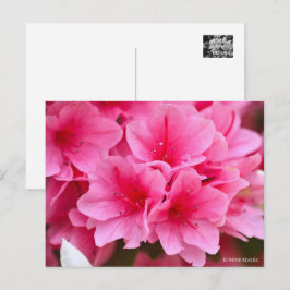 Kurume Azalea Postkarte