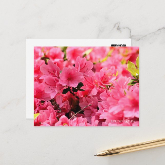 Kurume Azalea Postkarte (Vorderseite/Rückseite Beispiel)