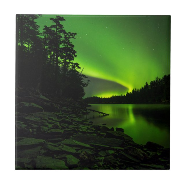 Kurven Fliese (Vorderseite)