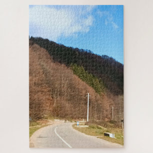 Kurvenreiche Straße durch den Wald – Wilde Natur R