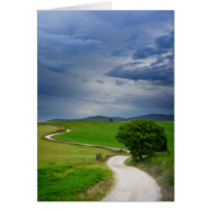 Kurvenreiche Straße unter einem dunklen Himmel