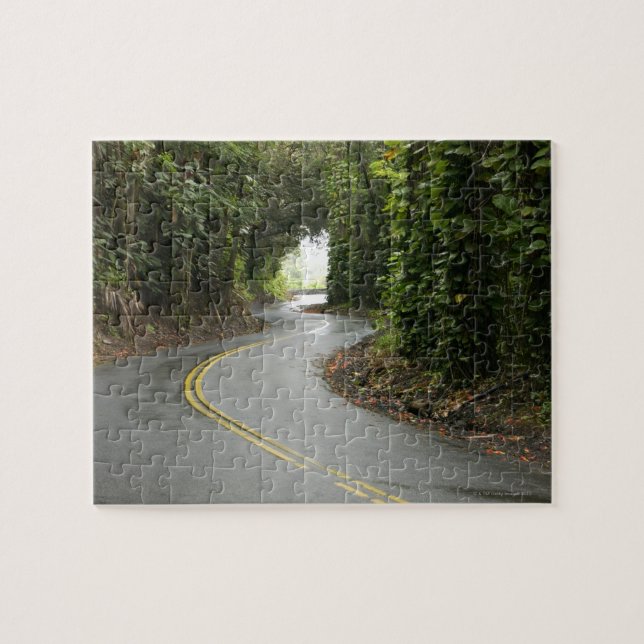 Kurvenreiche Straßen durch Regenwald, Insel von (Horizontal)