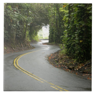 Kurvenreiche Straßen durch Regenwald, Insel von Fliese