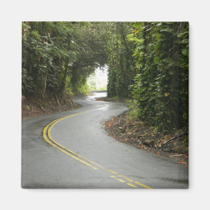 Kurvenreiche Straßen durch Regenwald, Insel von Magnet
