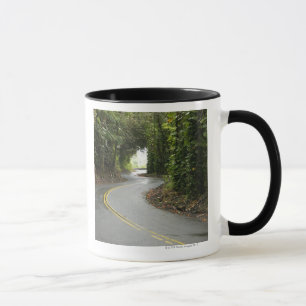 Kurvenreiche Straßen durch Regenwald, Insel von Tasse