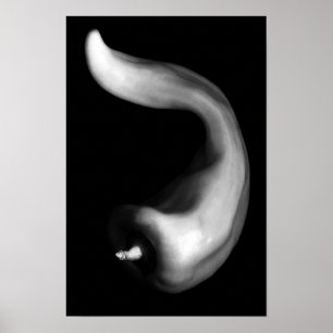 Kurvige Paprika Nahaufnahme Schwarz-Weiß-Fotografi Poster