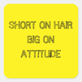 KURZ AUF HAARBIG AUF ATTITUDE STICKERS