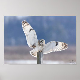 Kurz gezogene Schleppanlandung Poster