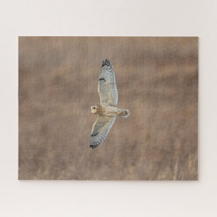 Kurz gezogenes Owl