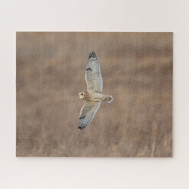 Kurz gezogenes Owl (Horizontal)