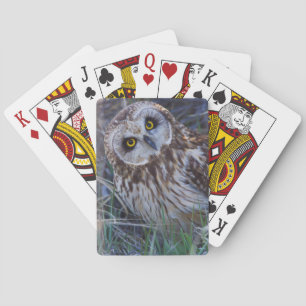 Kurz-Owl Spielkarten