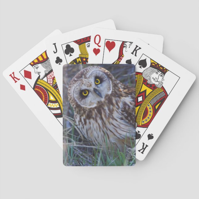Kurz-Owl Spielkarten (Rückseite)
