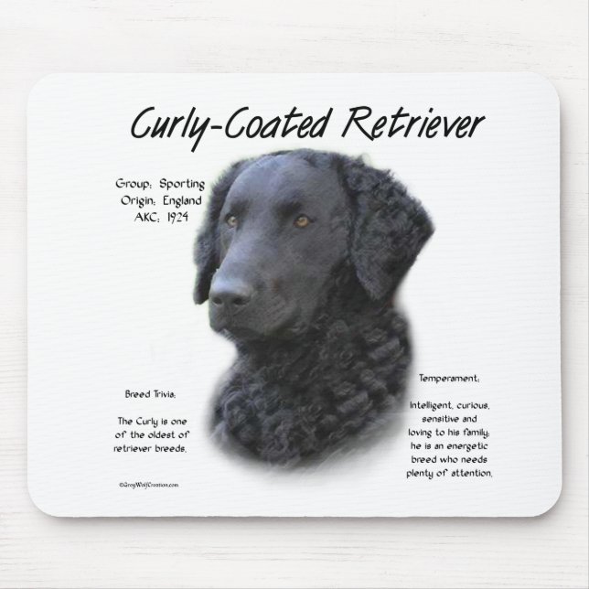Kurz überzogenes Retriever History Design Mousepad (Vorne)