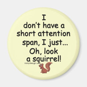 Kurze Aufmerksamkeit Span Eichhörnchen Magnet