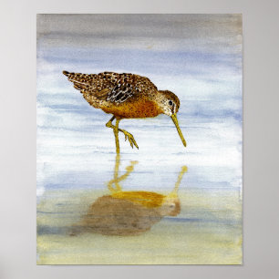 Kurze Billed Dowitcher Art Poster