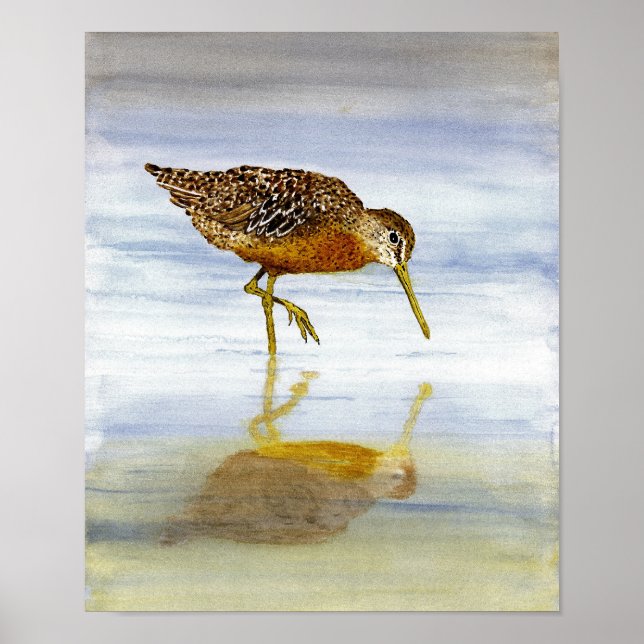 Kurze Billed Dowitcher Art Poster (Vorne)