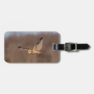 Kurze Eule im Flug Gepäckanhänger