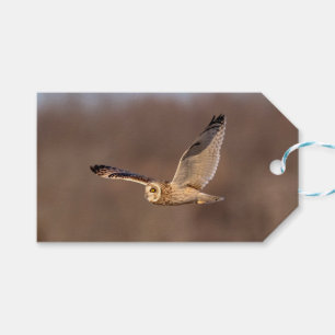 Kurze Eule im Flug Geschenkanhänger