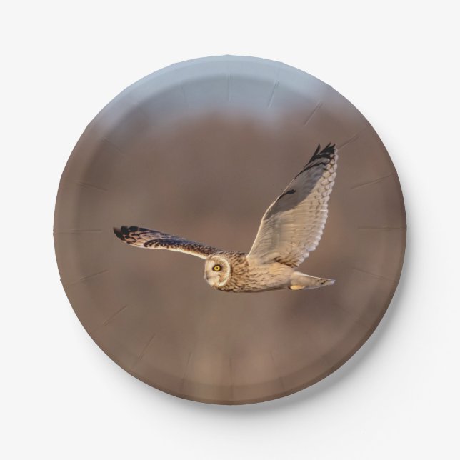 Kurze Eule im Flug Pappteller (Vorderseite)