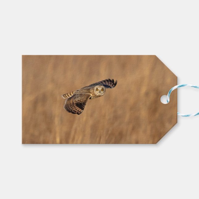 Kurze Eule im Grasland Geschenkanhänger (Vorderseite (Horizontal))