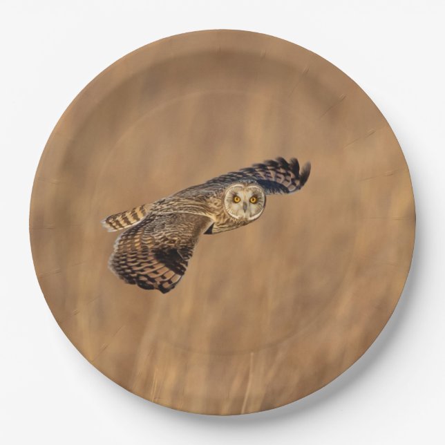 Kurze Eule im Grasland Pappteller (Vorderseite)