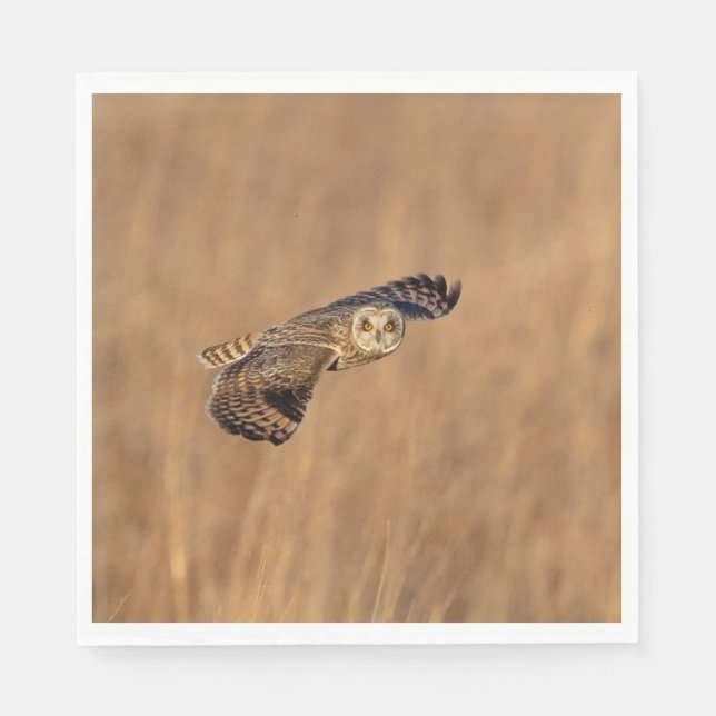 Kurze Eule im Grasland Serviette (Vorderseite)