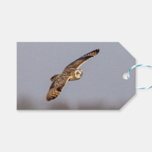 Kurze Eule im Shawangunk-Grasland Geschenkanhänger