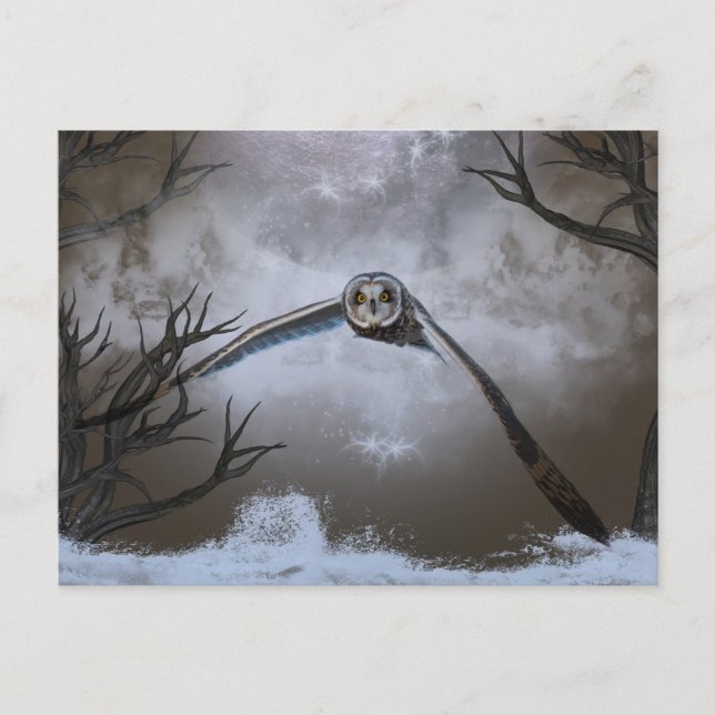 Kurze Eule im Shawangunk-Grasland Postkarte (Vorderseite)