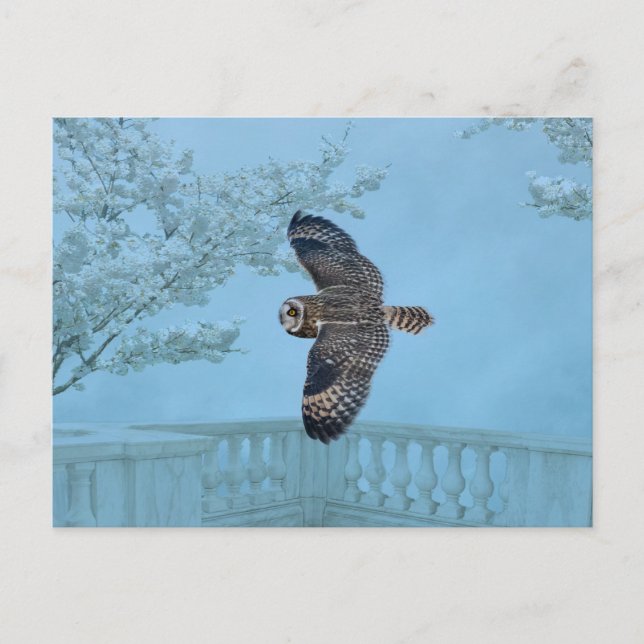 Kurze Eule im Shawangunk-Grasland Postkarte (Vorderseite)