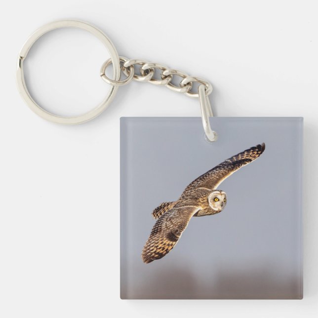 Kurze Eule im Shawangunk-Grasland Schlüsselanhänger (Vorderseite)