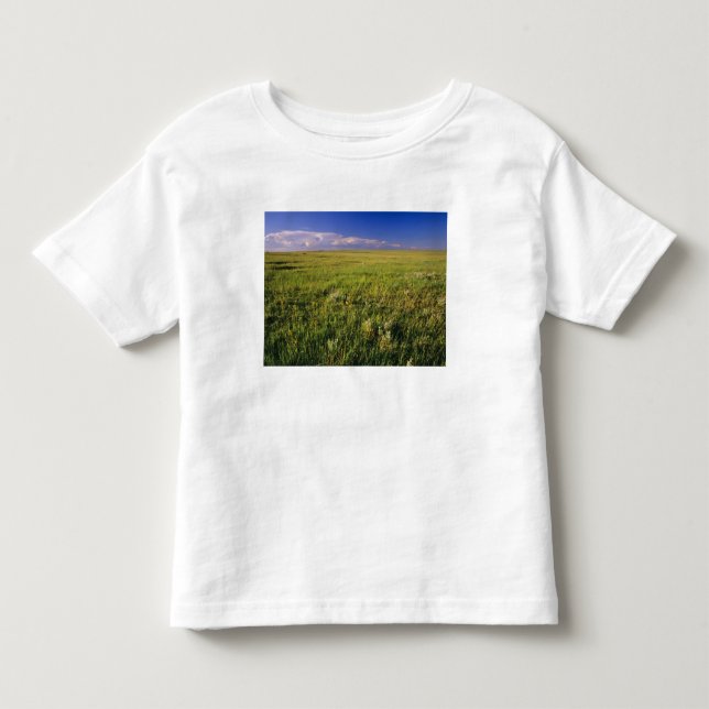Kurzer Grass Prairie im äußersten Nordosten Kleinkind T-shirt (Vorderseite)