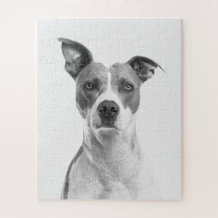 Kurzer Hufhund in Graustufen (schwarz und weiß)