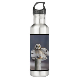 Kurzes Owl 2 Edelstahlflasche