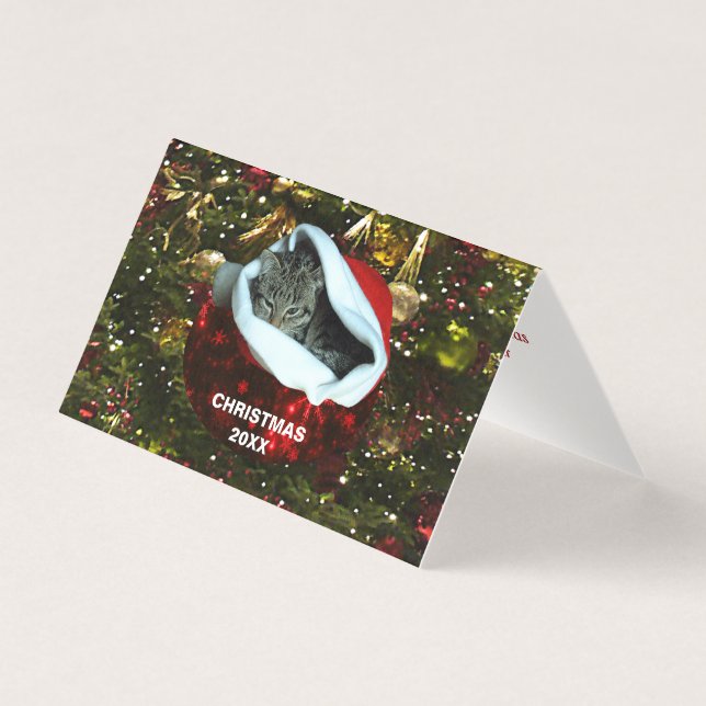 Kurzfristige graue Katze in Roter Weihnachtsmannmü (Vorderseite)